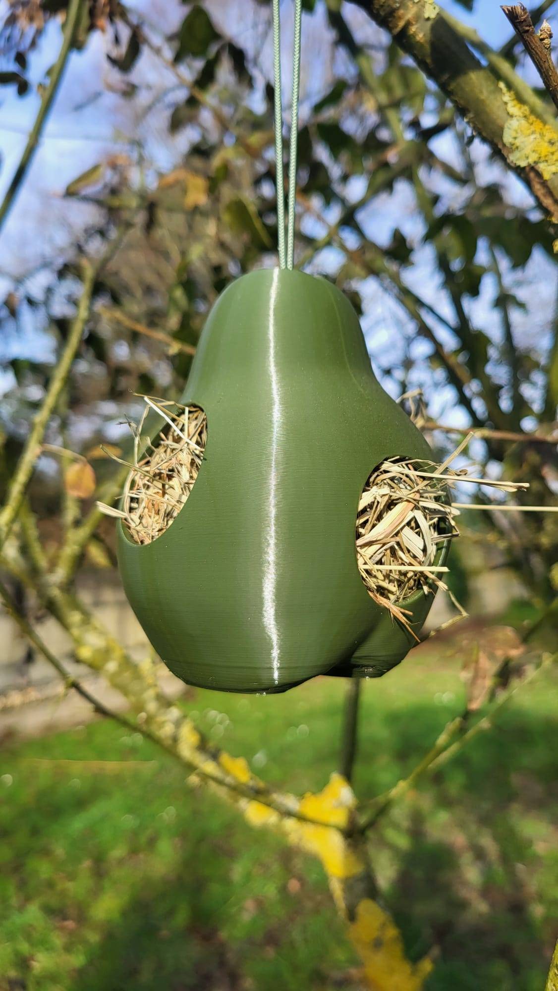 PYRÉA NIDIFICA – Le fruit qui aide la nature à tisser ses nids