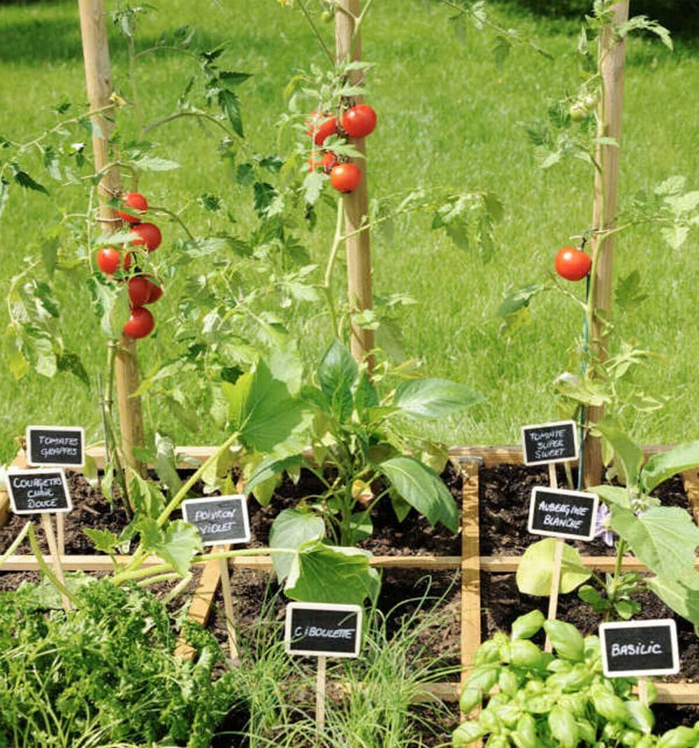 Jardipolys - Carré potager CARDON 120 - 134 x 134 x 24 cm - 288 L - 16 carrés de 28 x 28 cm Jardipolys - Imagen 3