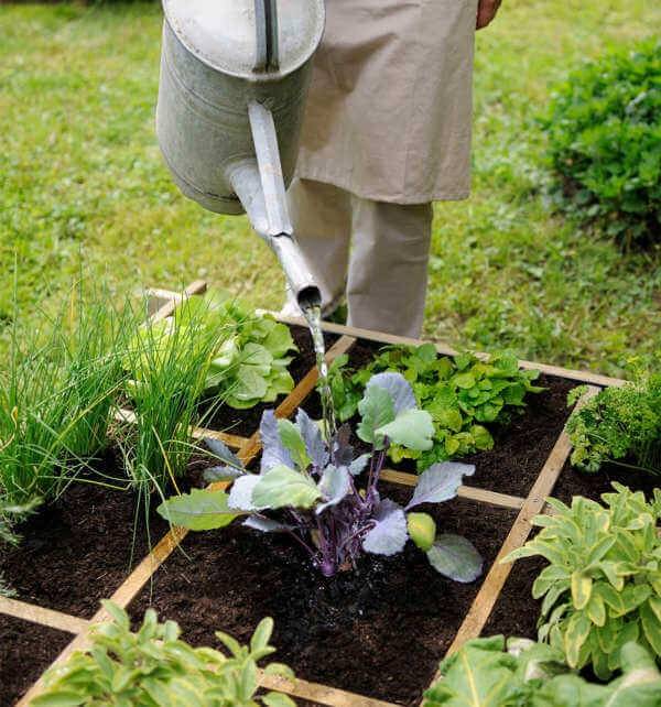 Jardipolys - Carré potager CARDON 120 - 134 x 134 x 24 cm - 288 L - 16 carrés de 28 x 28 cm Jardipolys - Imagen 2