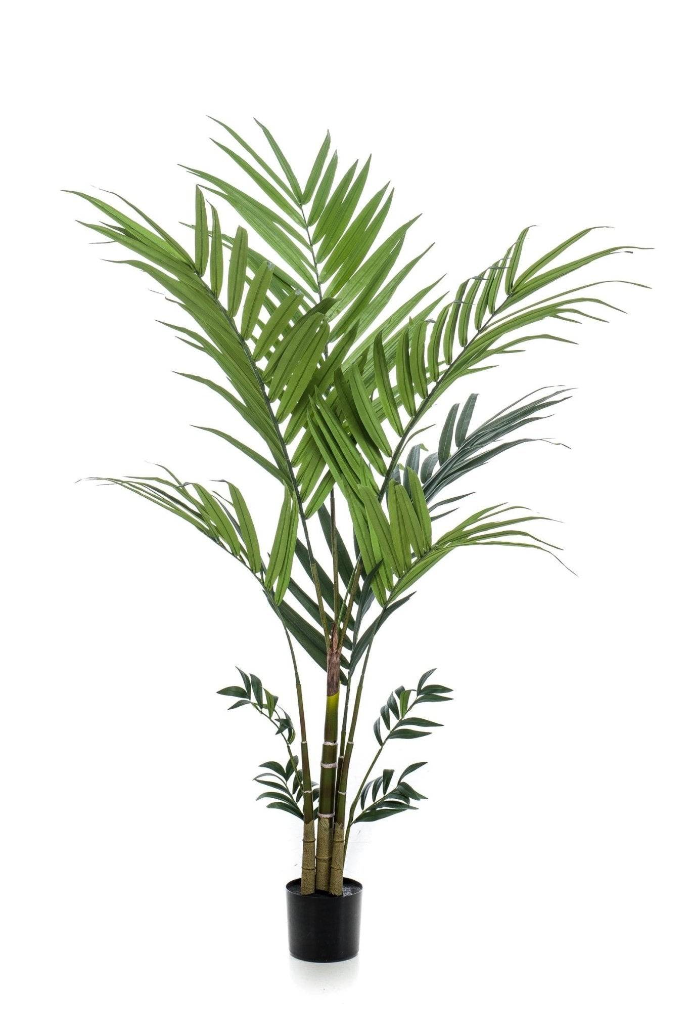 La Green Touch - Palmier Kentia plante artificielle - h180cm, Ø15cm- La Green Touch - Imagen 4