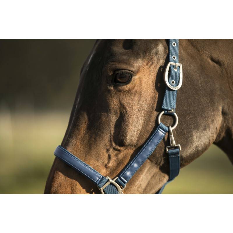 Licol LAMI-CELL "LC" - Taille cheval Lami-Cell Couleurs Bleu - Imagen 2