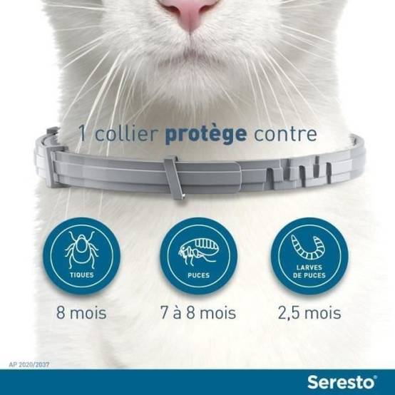 Seresto - SERESTO Chat Collier Anti-Puces et Anti-Tiques 2 unités - Image 6