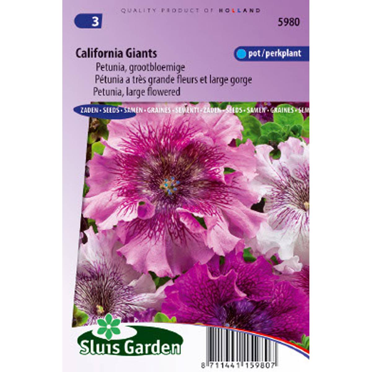 Graines de Pétunia California Giants en mélange à très grandes fleurs  le sachet de 700 graines environ (0,1g)