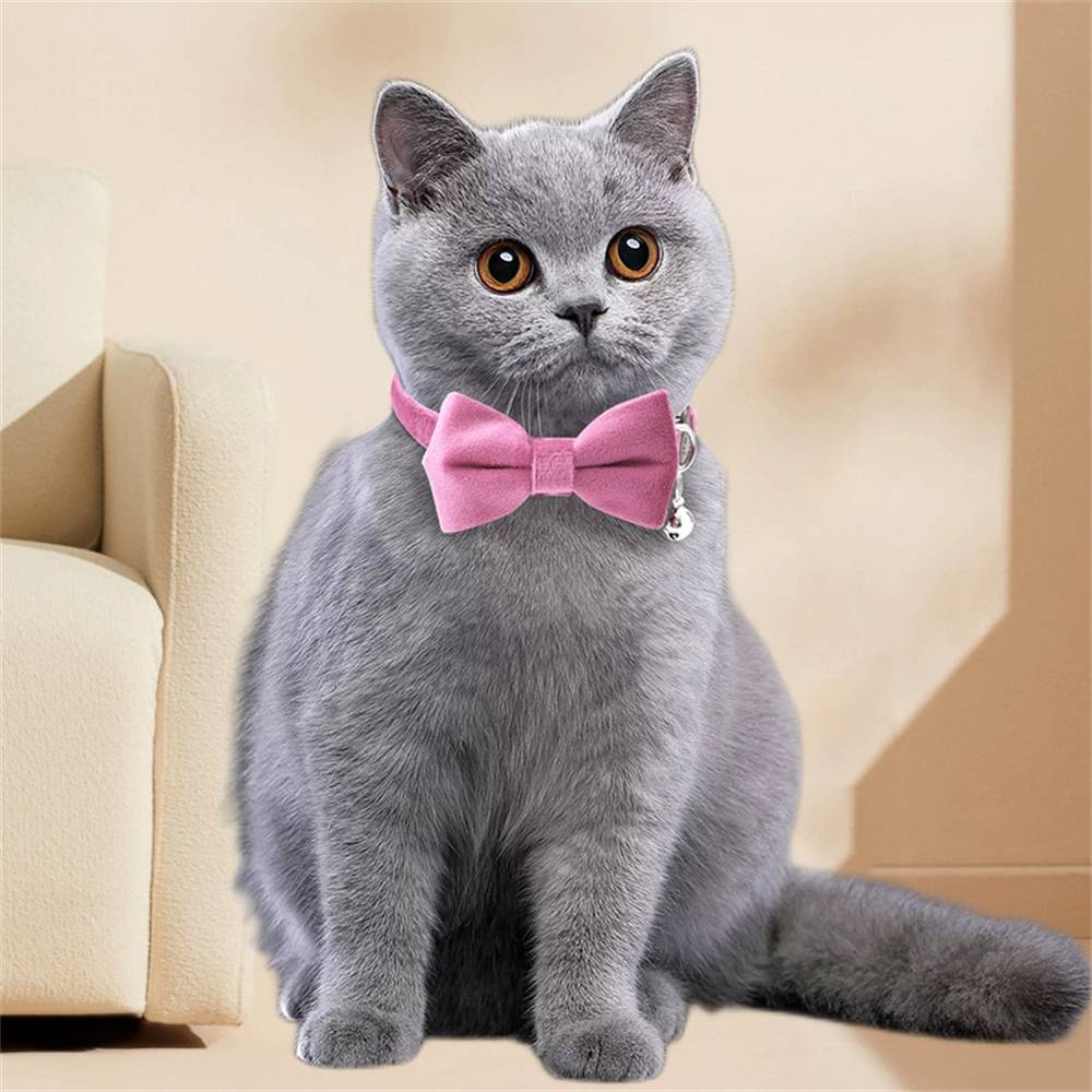 Collier nœud papillon pour chat DtopbuyAge - Image 3