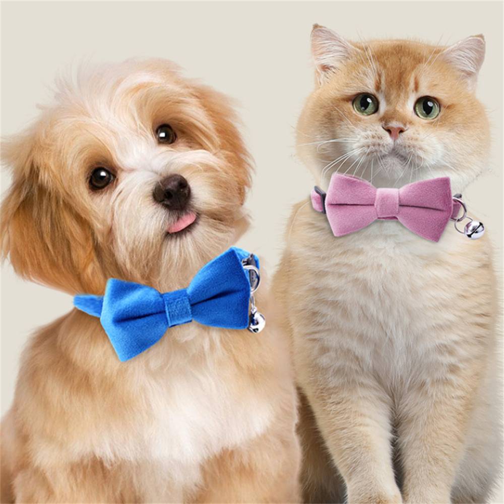 Collier nœud papillon pour chat DtopbuyAge - Image 2