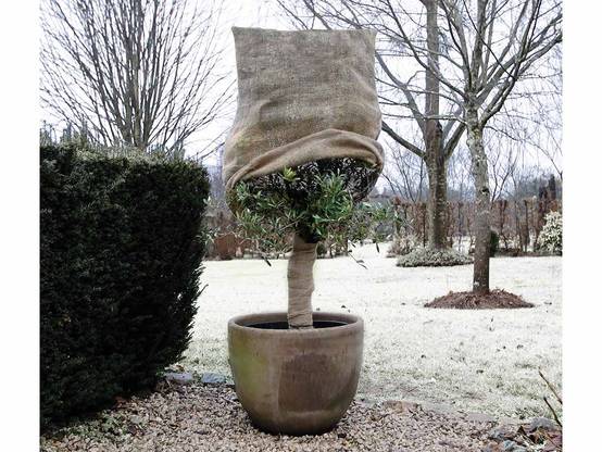 Nature - Housse d'hivernage 230 g en toile de jute, Dimensions H 1.50 m x Ø 1.25 m - Image 3