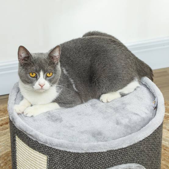Niche à chat 2 niveaux en feutrine avec coussins et griffoir sisal 40x30cm gris - ComfortXL Outdoor Living - Image 10