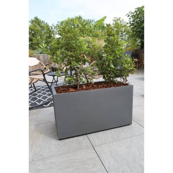 Riviera - Bac A Fleurs Granit - 60x30 Cm - Gris - Imagen 2