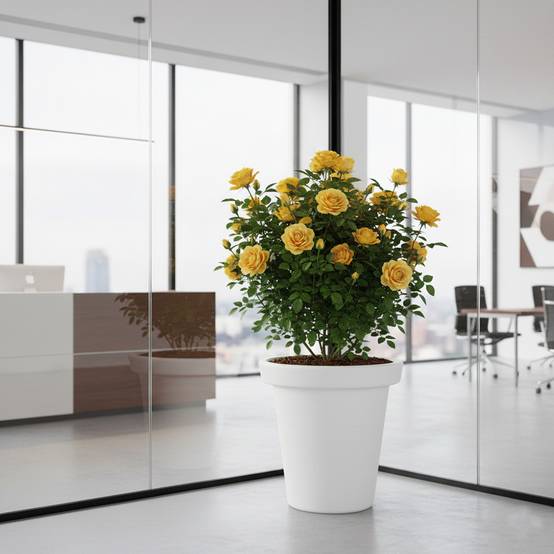 Pot de fleurs 75l delight - plast'up rotomoulage - Image 3