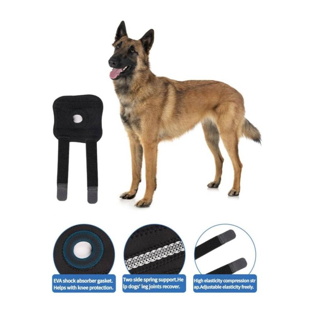 DtopbuyAge - 2 genouillères pour chien taille L DtopbuyAge - Image 4