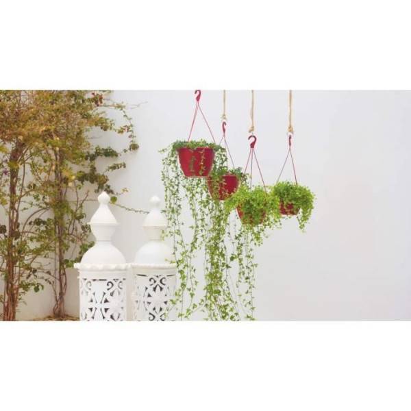 Artevasi Pot De Fleurs Suspendu Algarve - 8 L - 31 X 31 X 20,5 Cm - Rouge Fonce - Image 3