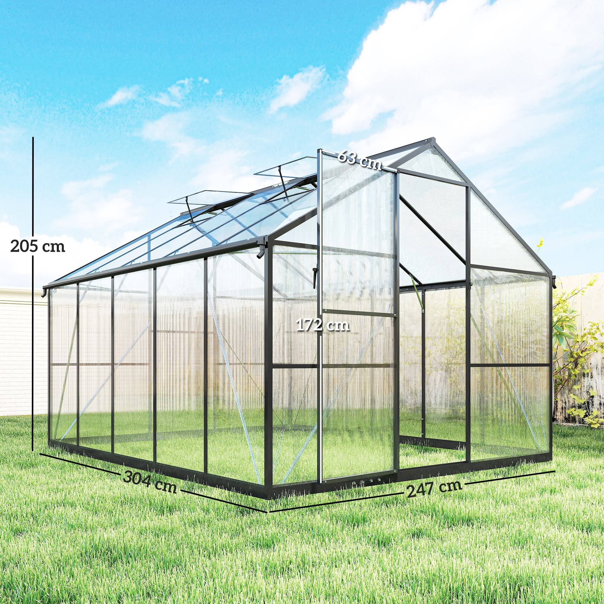 Sans Marque - Serre potagère en polycarbonate et aluminium avec porte à charnières et 2 fenêtres réglables, 304 x 247 x 205 cm, noire - Image 5