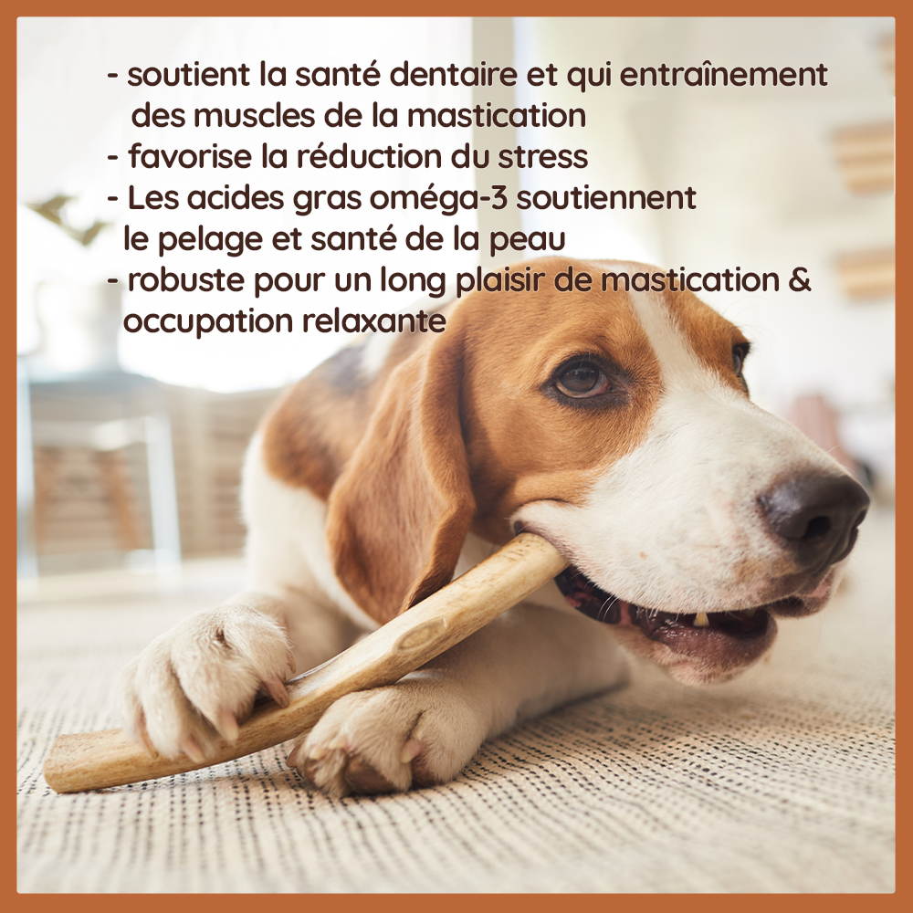 Wildfang - Wildfang - Pack « Articles préférés » - pour chiens de petite race jusqu'à 10 kg - Image 10
