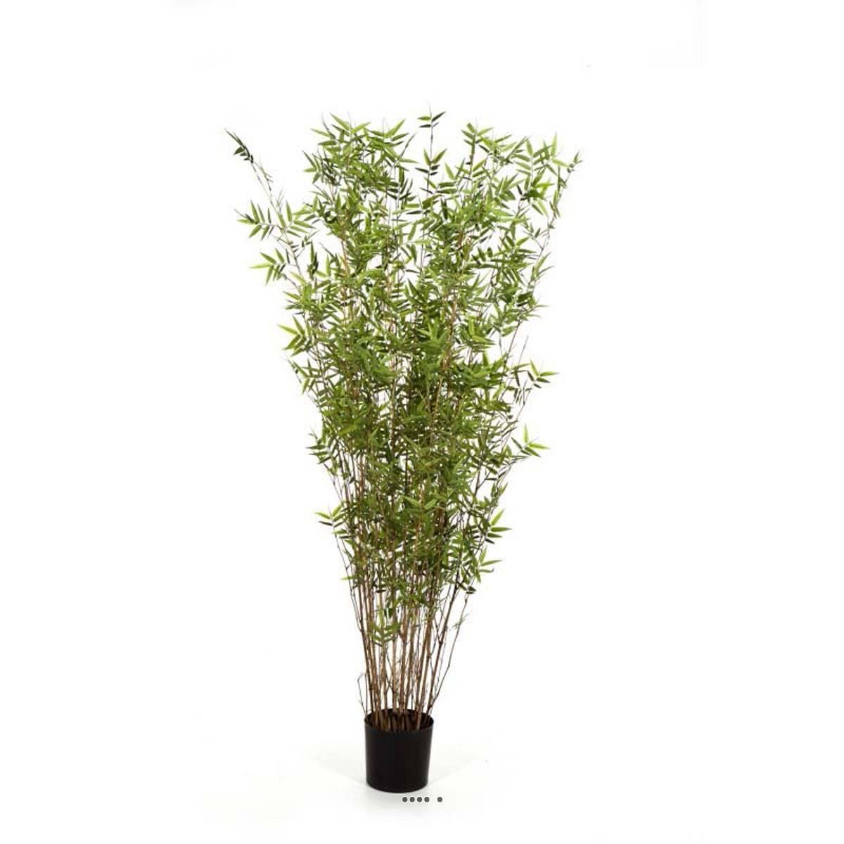 Artificielles - Bambou Oriental Artificiel H 160 cm 2400 Feuilles cannes fines en pot - dimhaut: H 160 cm - couleur: Vert