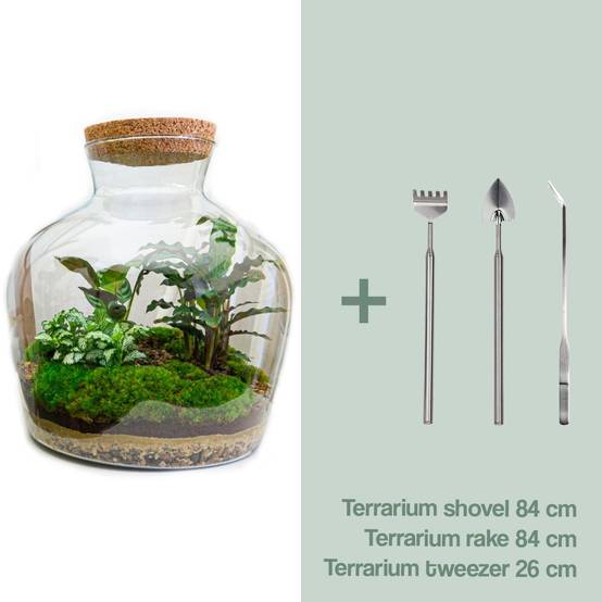 Diy Terrarium - D30 H30cm - Image 1