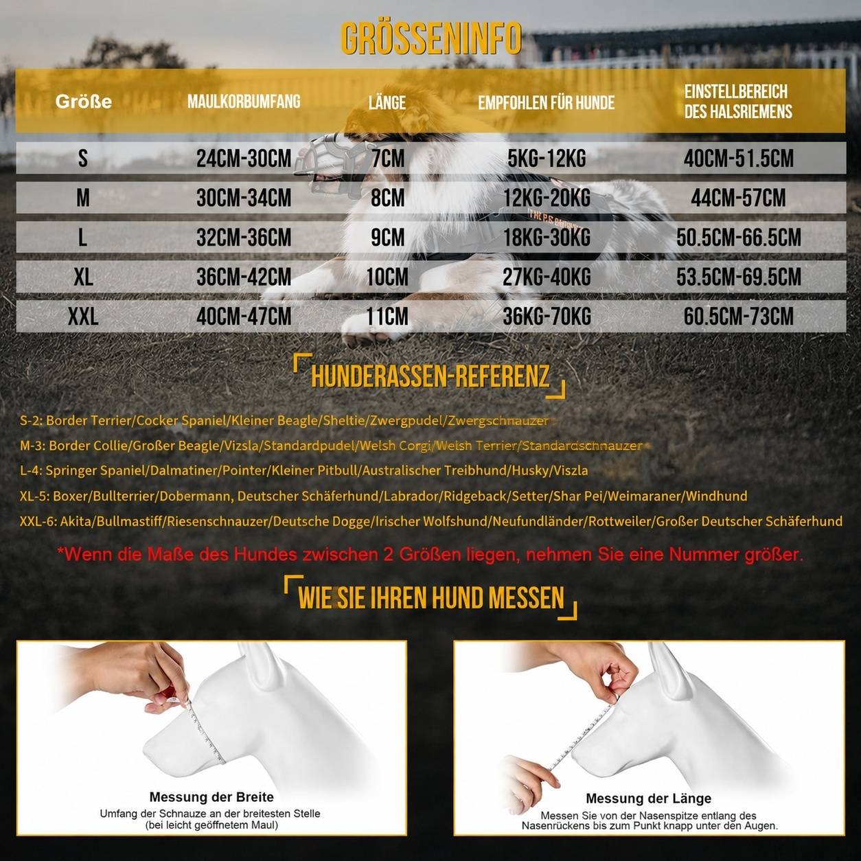 Musaquet Chien Réglable Respirant Confortable Durable Pour Toutes Tailles De Chien - Image 2