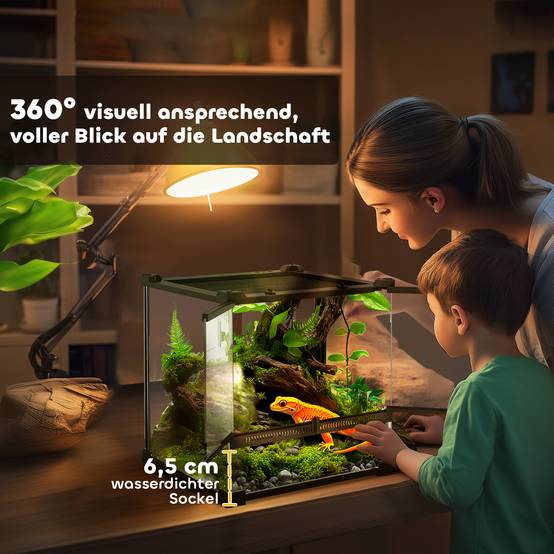 Terrarium en verre pour reptiles, fond surélevé et imperméable, fermeture à bouton - Image 8