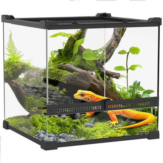 Terrarium en verre pour reptiles, fond surélevé et imperméable, fermeture à bouton - Image 1
