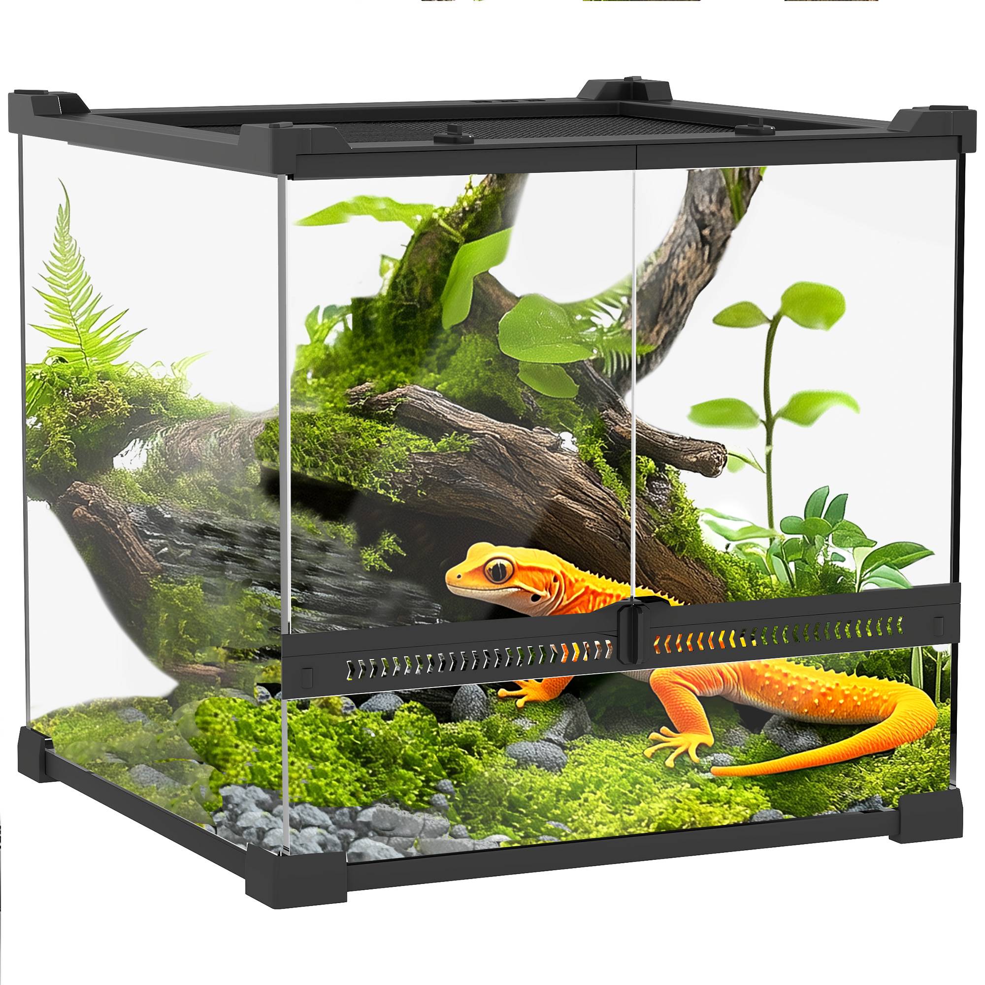Terrarium en verre pour reptiles, fond surélevé et imperméable, fermeture à bouton - Image 1