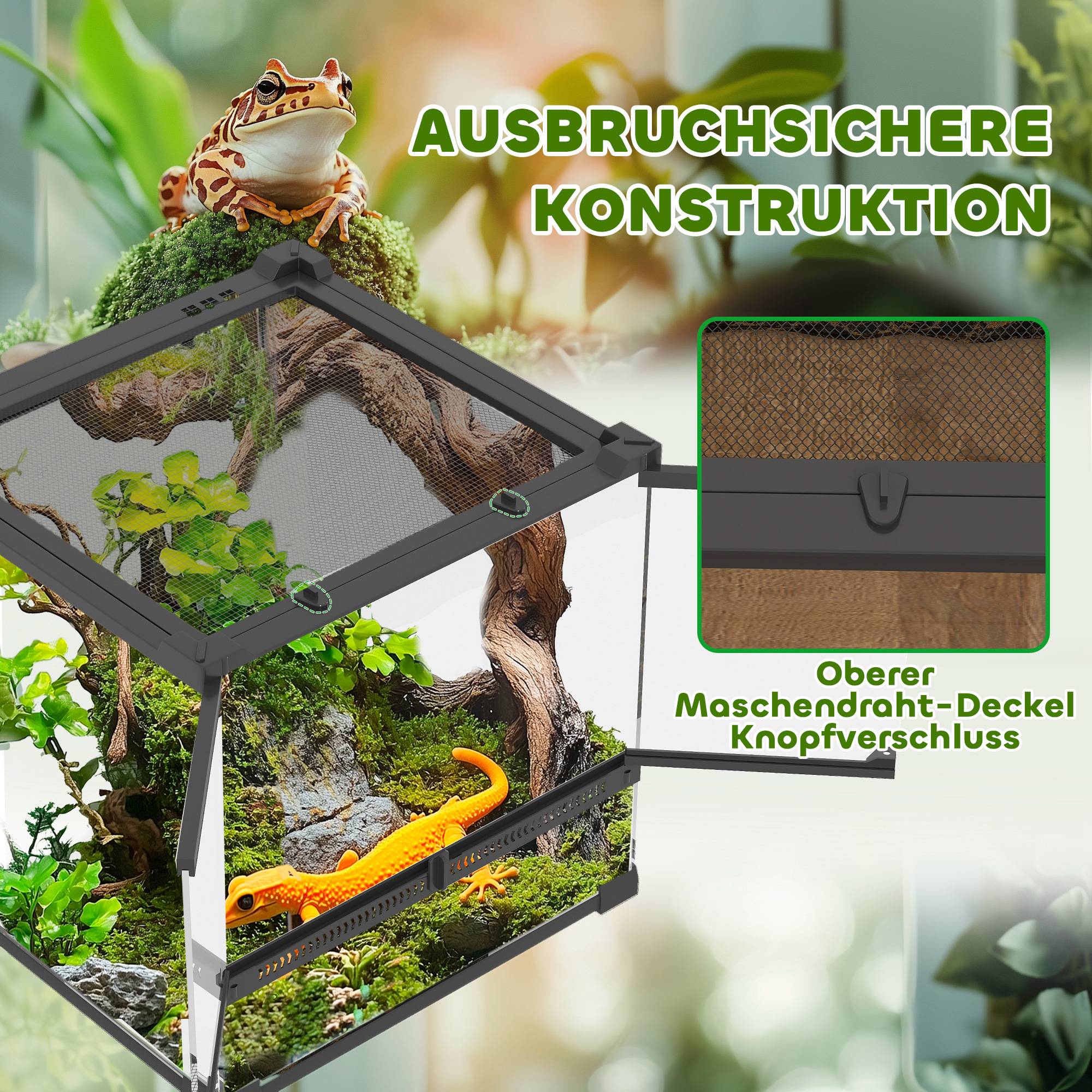 Terrarium en verre pour reptiles, fond surélevé et imperméable, fermeture à bouton - Image 7