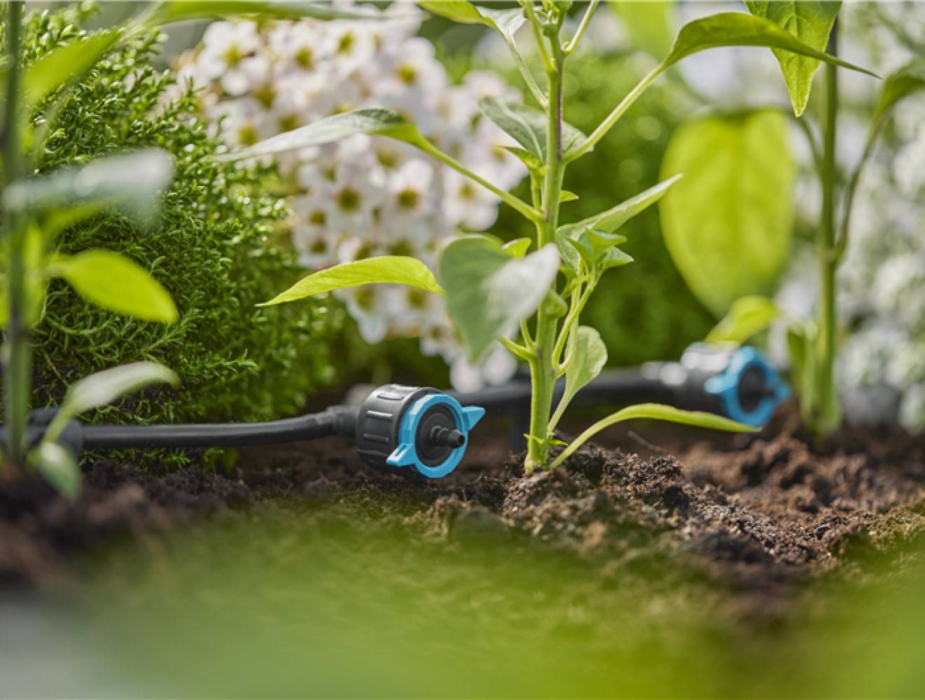 Gardena - Goutteurs en ligne réglable et régulateur de pression 1 - 8 l/h - Boîte de 5 pièces Gardena - Imagen 4