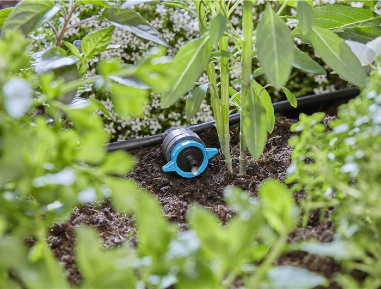Gardena - Goutteurs en ligne réglable et régulateur de pression 1 - 8 l/h - Boîte de 5 pièces Gardena - Imagen 3