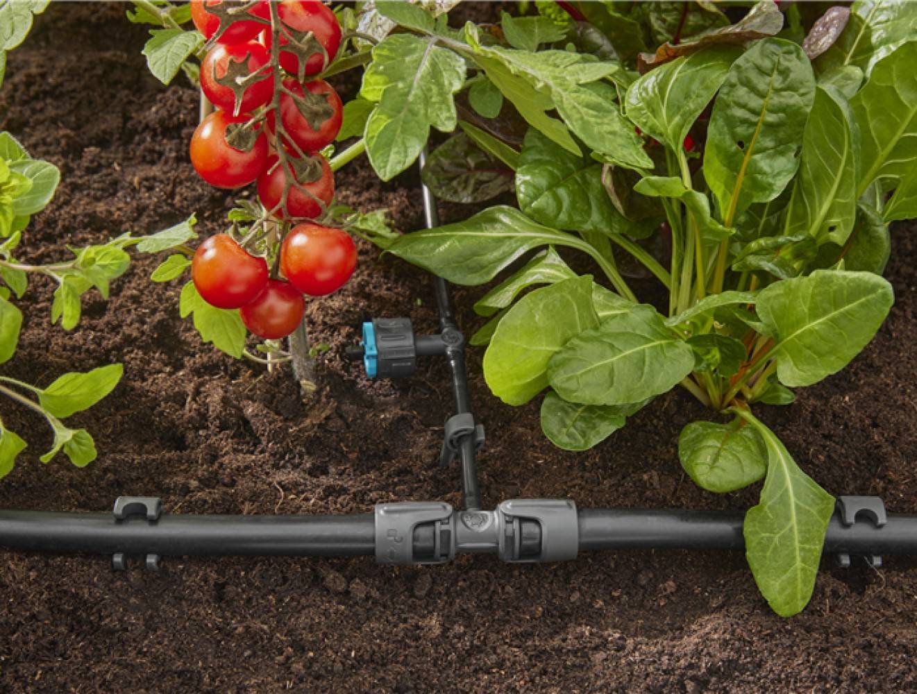 Gardena - Goutteurs en ligne réglable et régulateur de pression 1 - 8 l/h - Boîte de 5 pièces Gardena - Imagen 5