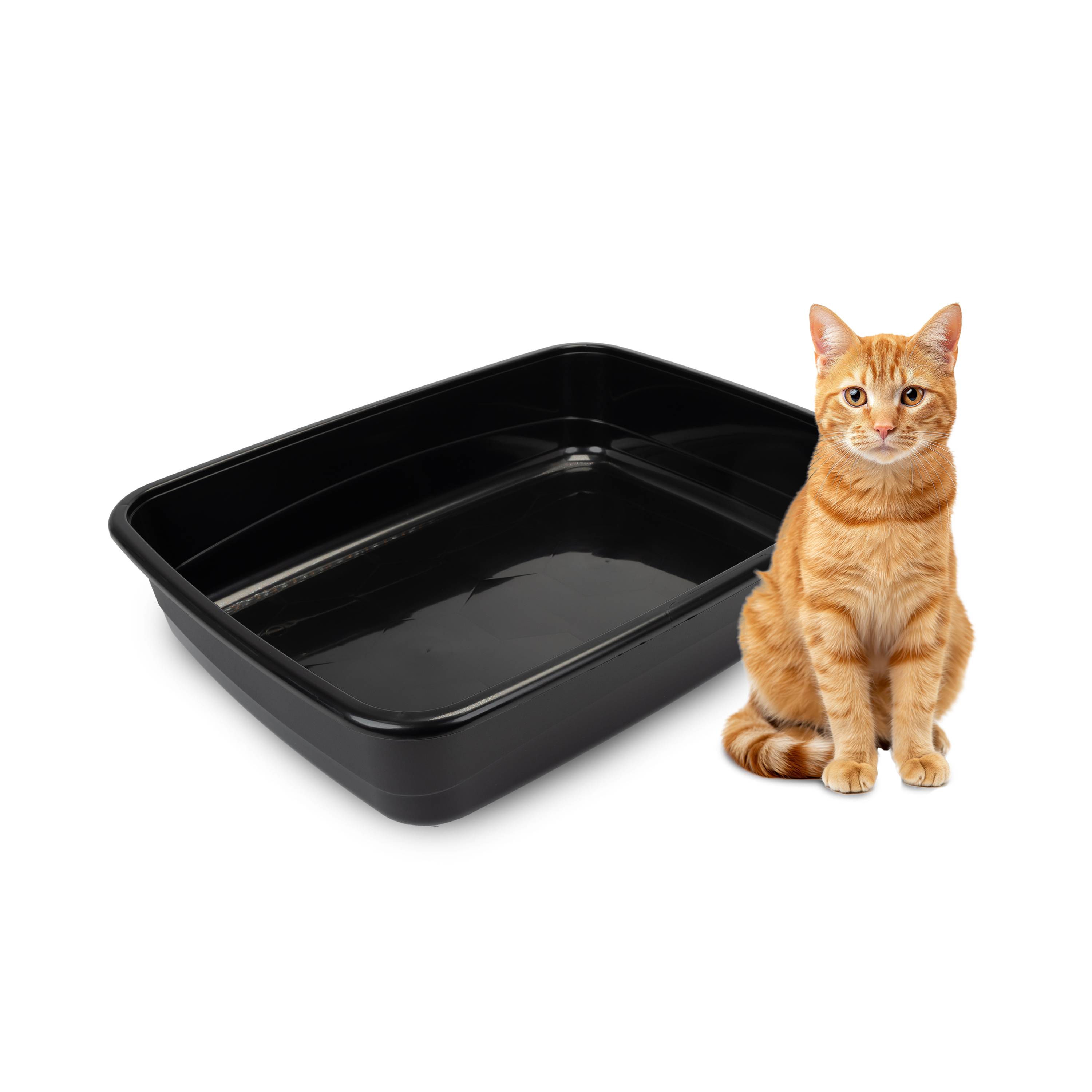 Ferplast - Ferplast Bac Litiere pour Chat, Maison de toilette pour Chat, Litière pour Animaux de Compagnie, avec Bords Hauts, 49,5 x 64,5 x H 14,5 cm, NIP 30 - Imagen 4