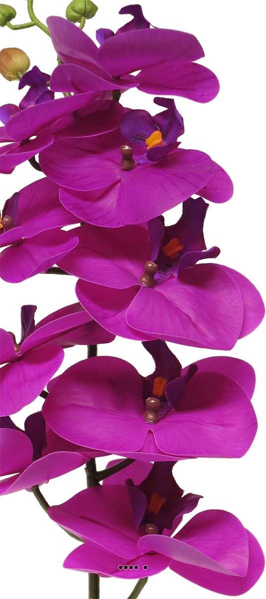 Artificielles - Tige orchidée phalaenopsis faux 9fleurons Real touch H77cmPourpre-BEST - couleur: Pourpre - Imagen 3