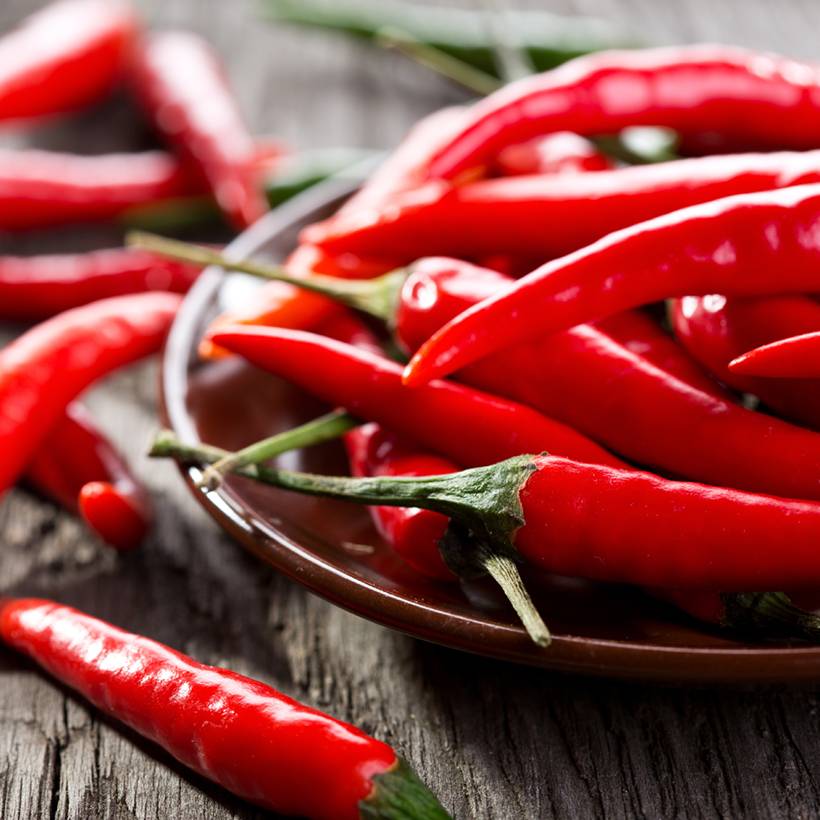 Piment de Cayenne - Capsicum frutescens le sachet de 110 graines environ (1g)