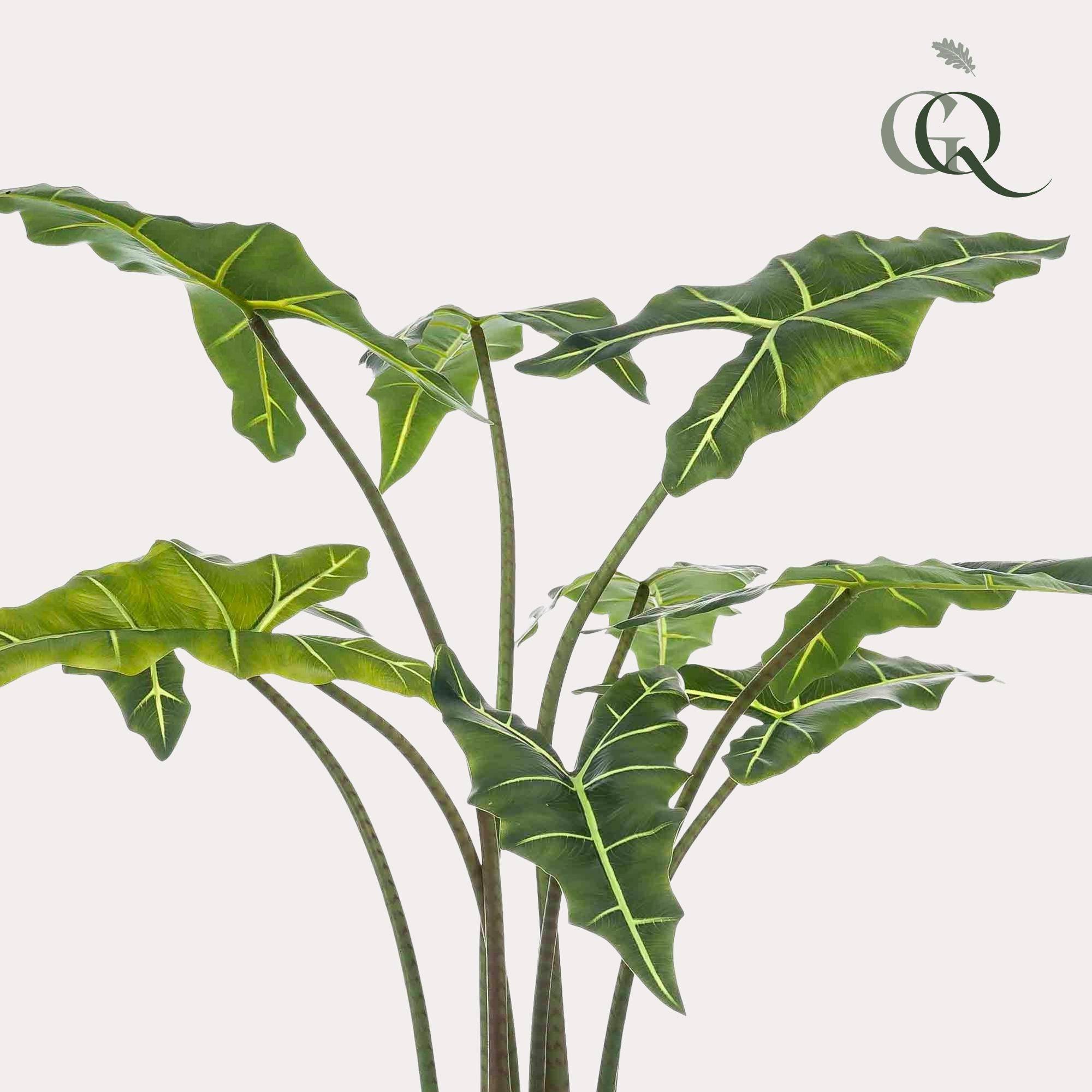 La Green Touch - Alocasia plante artificielle - h100cm, Ø12cm- La Green Touch - Imagen 2