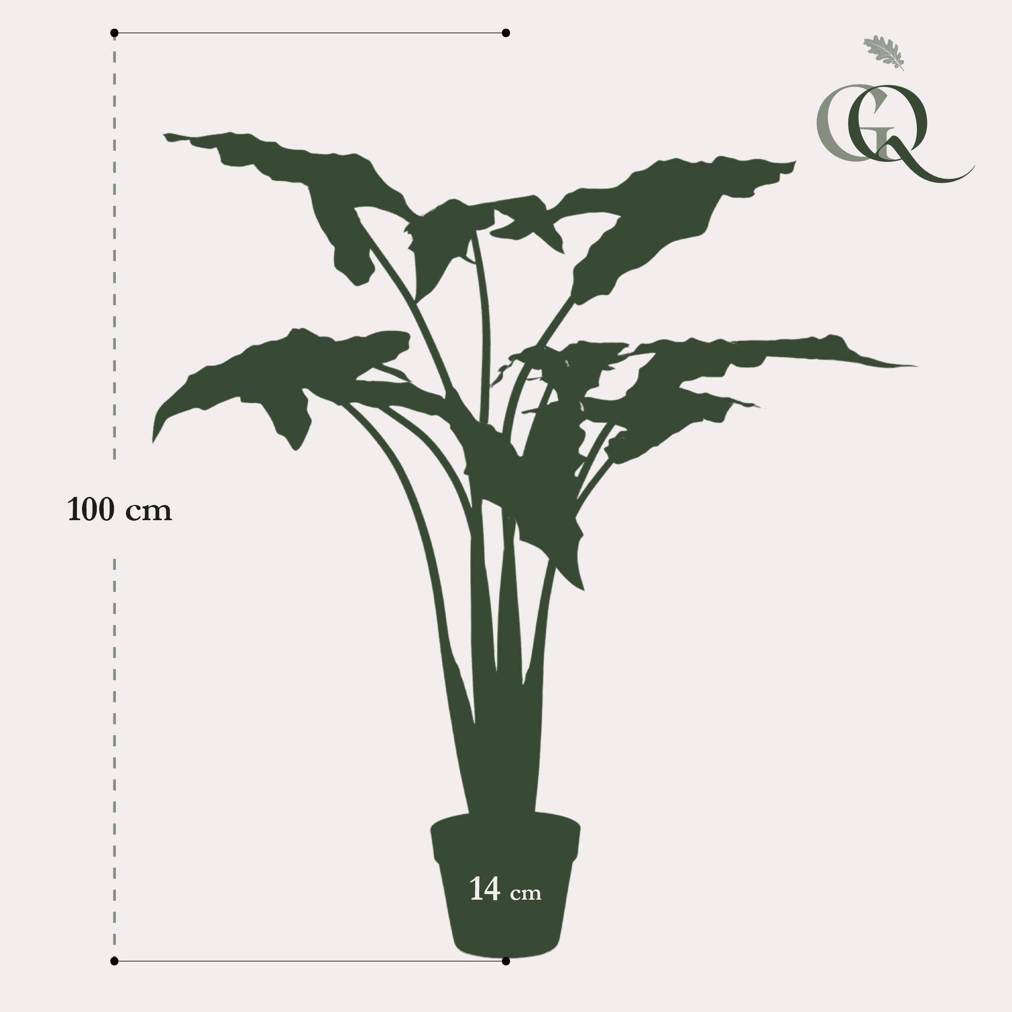 La Green Touch - Alocasia plante artificielle - h100cm, Ø12cm- La Green Touch - Imagen 4