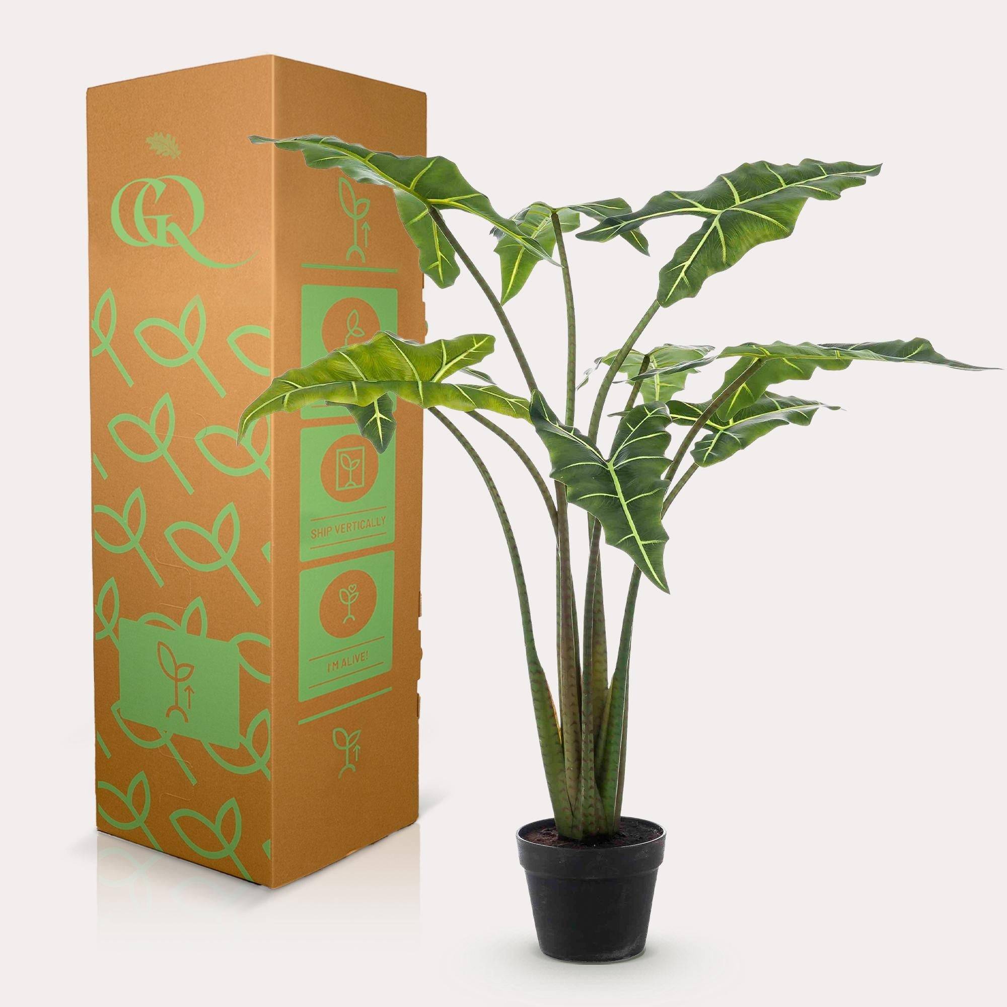 La Green Touch - Alocasia plante artificielle - h100cm, Ø12cm- La Green Touch - Imagen 3
