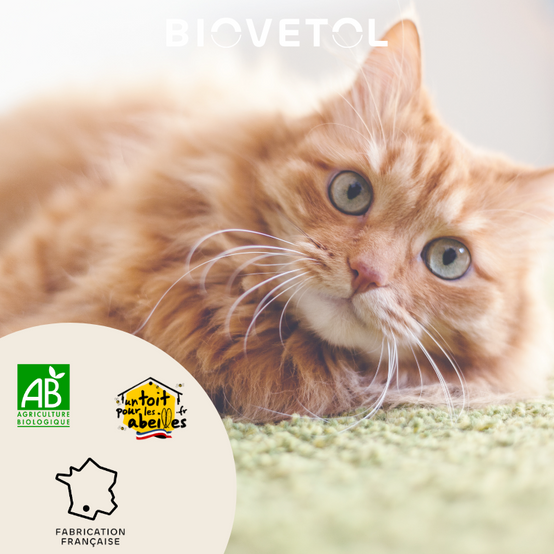 Biovetol - Comprimés Bio Bien-être Intestinal pour Chat & Chaton - Image 2