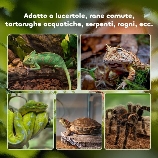 Terrarium Verre Surélevé Reptiles Grille Métal Anti-Fugue 50x30cm Noir - ComfortXL Outdoor Living - Image 9