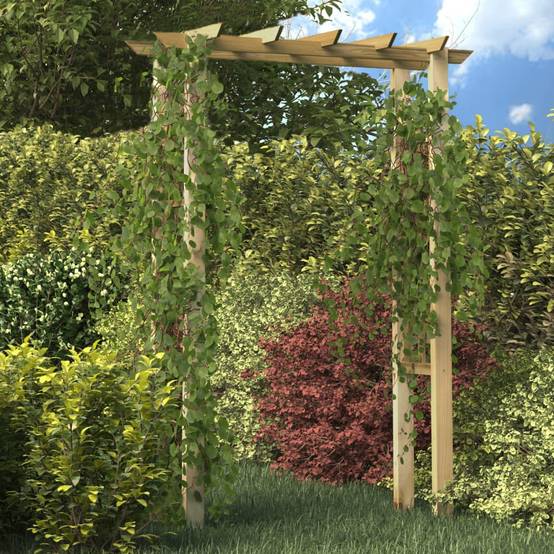 Arche à Rosiers Bois Pin Imprégné Support Grimpantes 150x60x204cm - ComfortXL Outdoor Living - Image 1