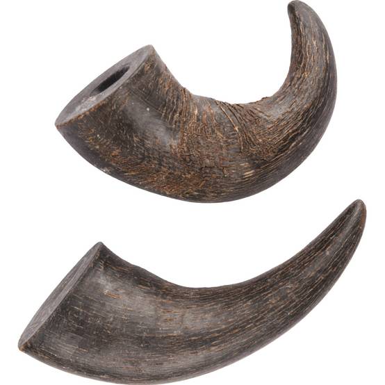 2 cornes de buffle séché small Nature snack, pour chiens - Image 1