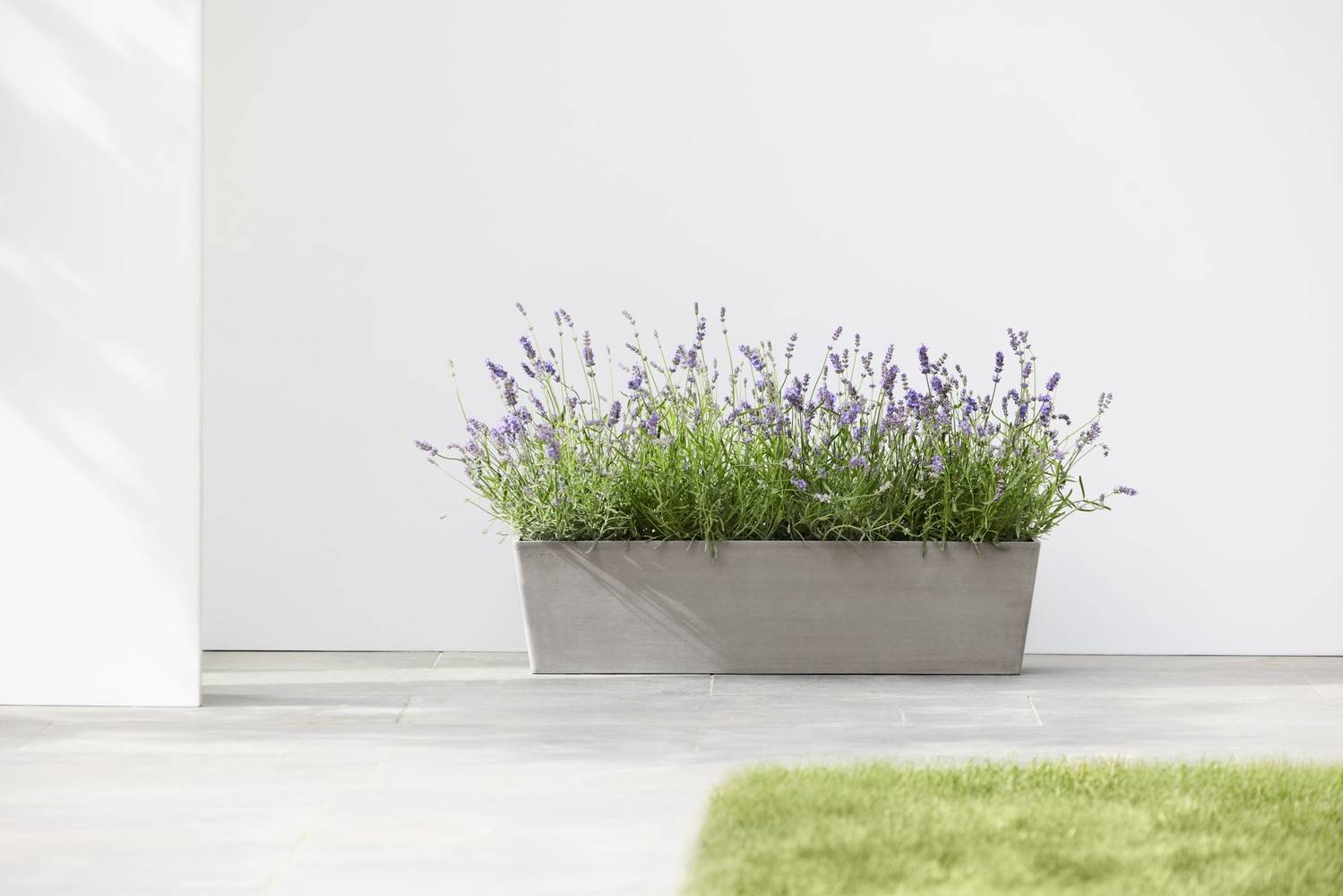 Ecopots - Pot Rectangulaire Bruges 80 Taupe - 80 x 20 x H. 20 cm - 25 L ECOPOTS - Imagen 3