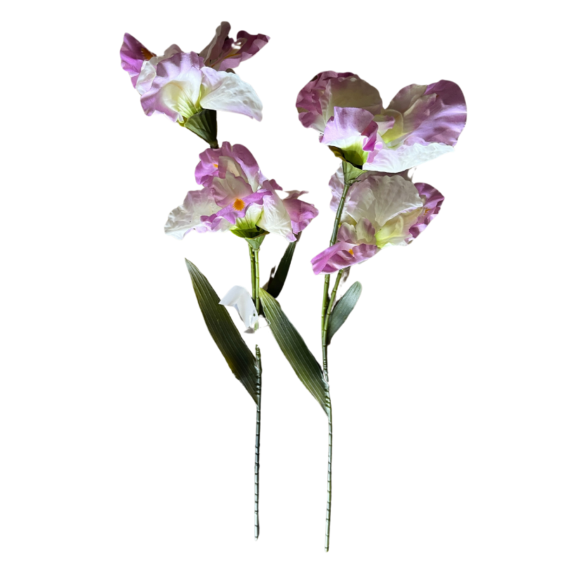 Iris Artificiel Blanc - Image 3