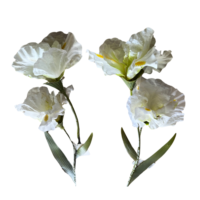 Iris Artificiel Blanc - Image 1