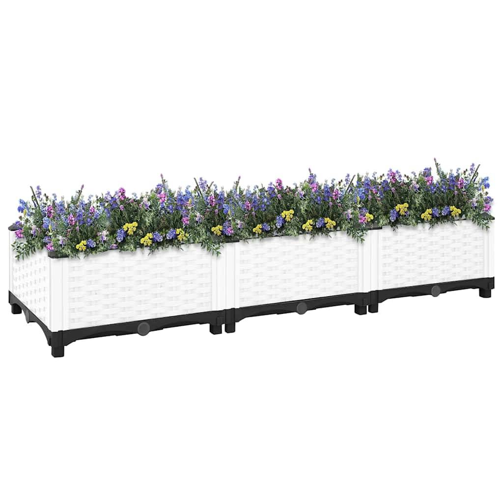 Prolenta Premium - Jardinière polypropylène blanc 120 x 40 x 23 cm - Prolenta premium p331.8 - Image 1