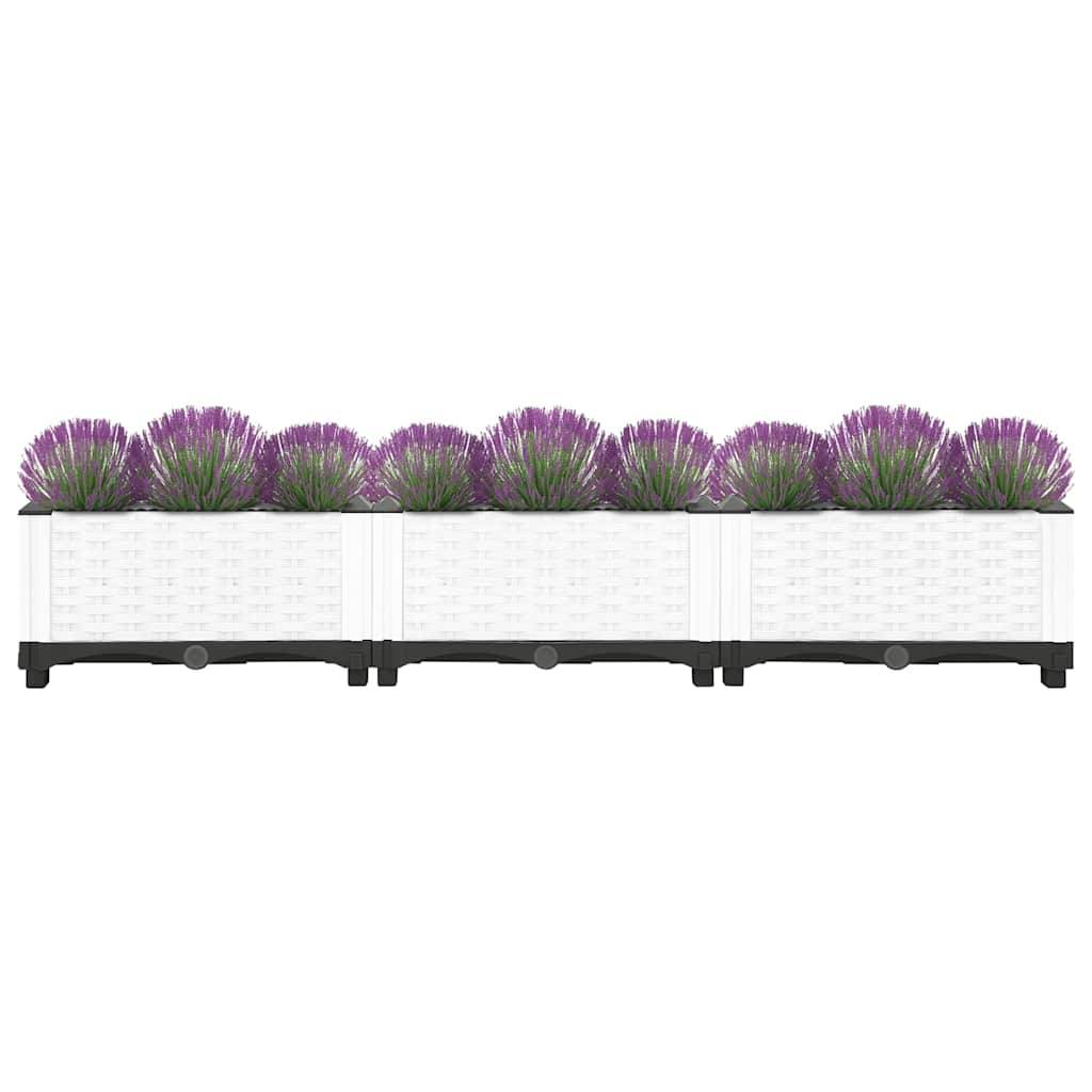 Prolenta Premium - Jardinière polypropylène blanc 120 x 40 x 23 cm - Prolenta premium p331.8 - Image 3