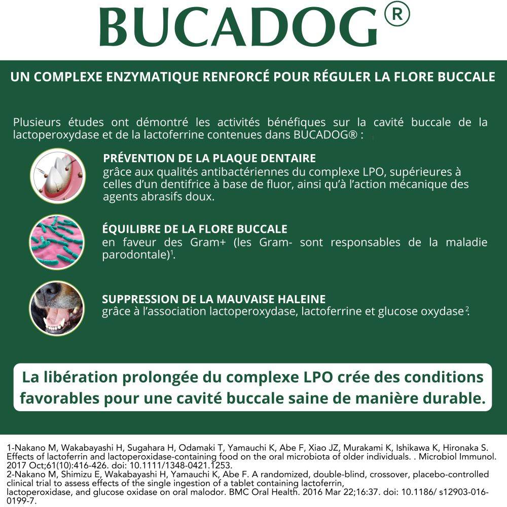 BUCADOG DENTIFRICE - OSALIA - Imagen 3