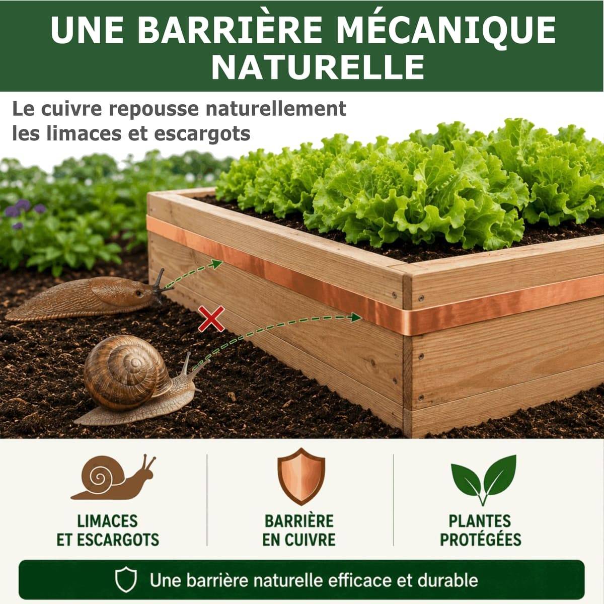 Tout pour les nuisibles - Ruban de Cuivre Anti-Limaces et Escargots SOLU'LIMACES – Barrière Physique Adhésive pour Potager, Jardinières, Pots et Bacs de Culture - Image 3