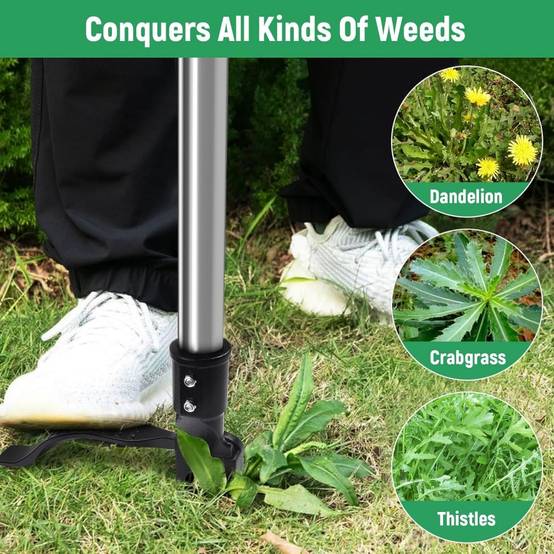 Outils de désherbage-Désherbeur à 4 griffes avec poignée réglable 117 cm – Extraction profonde sans effort – Ergonomique et durable – Living123 - Image 4