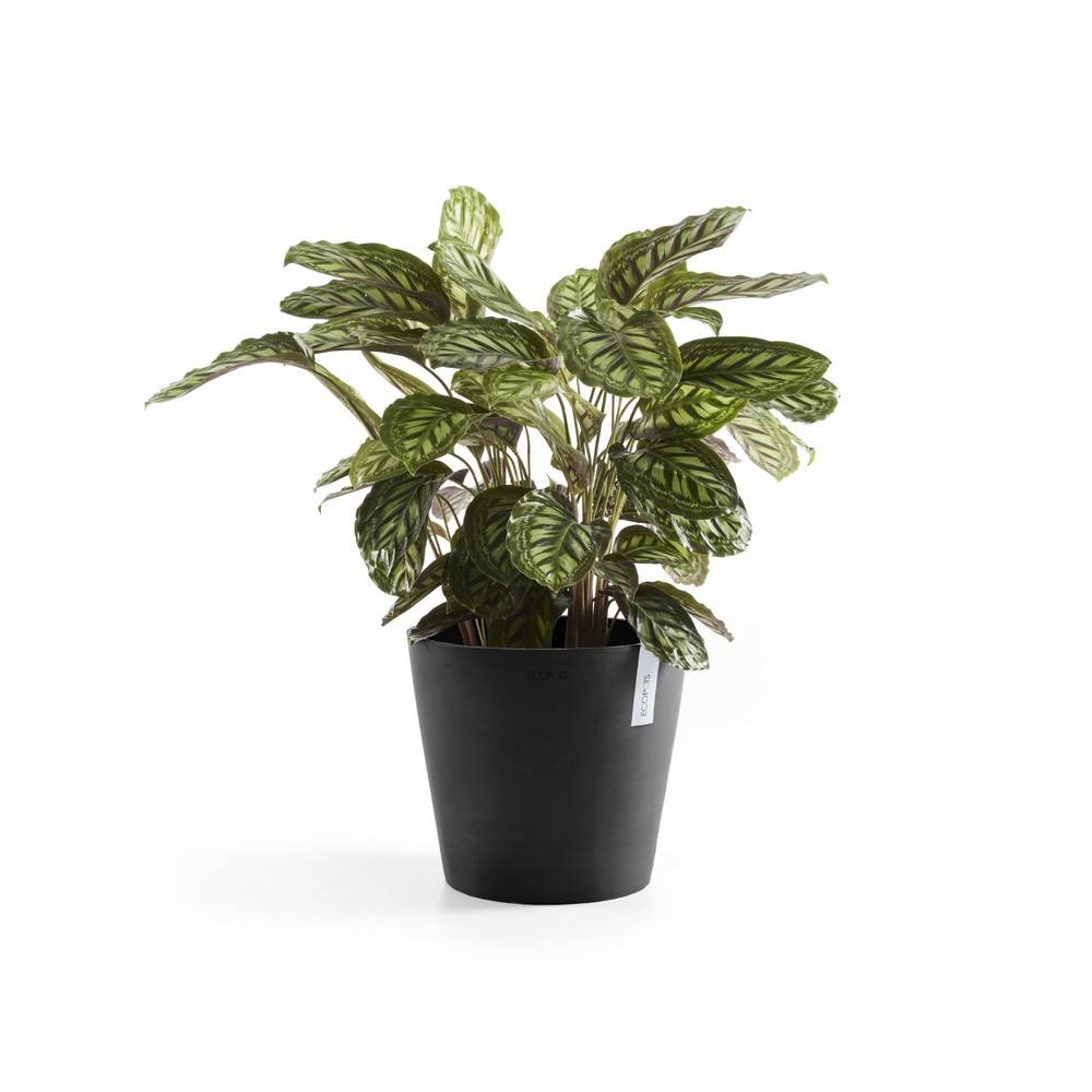 Ecopots - Pot Rond Amsterdam 30 Gris Foncé + réservoir d'eau - Ø 30 x H. 26,3 cm - 12,8 L ECOPOTS - Imagen 3
