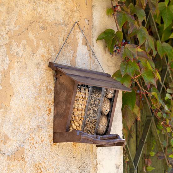 Ferplast - Mangeoire d'extérieur pour Oiseaux Sauvages JOK 11, Abri pour Oiseaux, Adaptée pour Nourriture Graines Petites Noisettes - Image 2