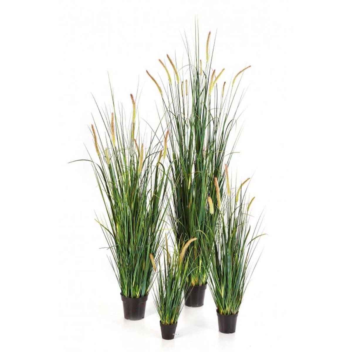 Artificielles - Graminée factice plante d'eau en pot avec quenouilles H60cm Caramel - dimhaut: H 60 cm - couleur: Caramel - Imagen 2
