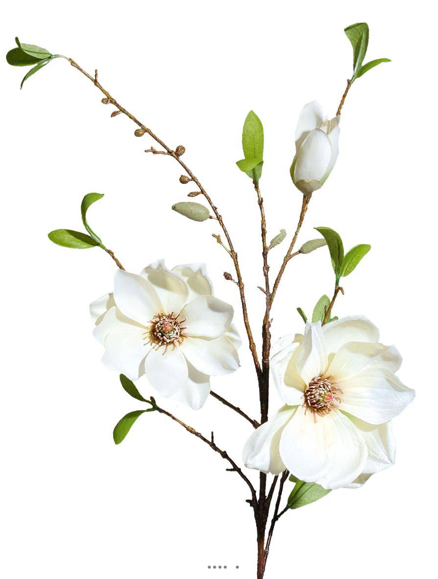 Artificielles - Magnolia artificiel H 90 cm crème en branche 2 fleurs et 1 bouton - couleur: Crème