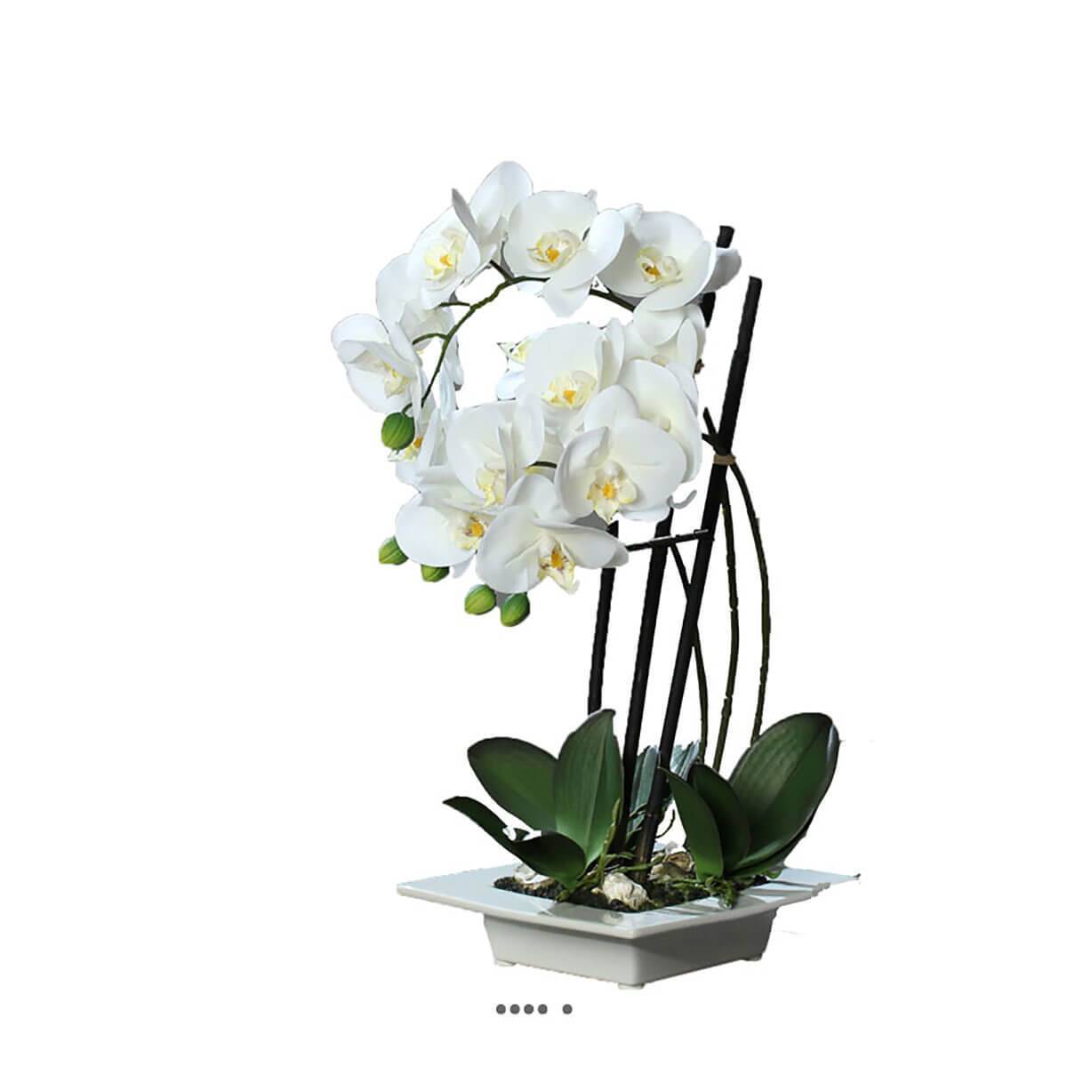 Artificielles - Orchidee factice 3 hampes en coupe ceramique H50cm touché réel Crème - couleur: Crème - Imagen 1